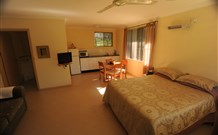 Ned's Bed Horse and Dog-Otel - Clybucca - Geraldton Accommodation